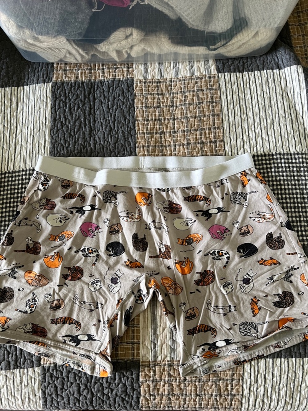 TomboyX Beige Boxer Briefs with Orange & Black Cat Motif
